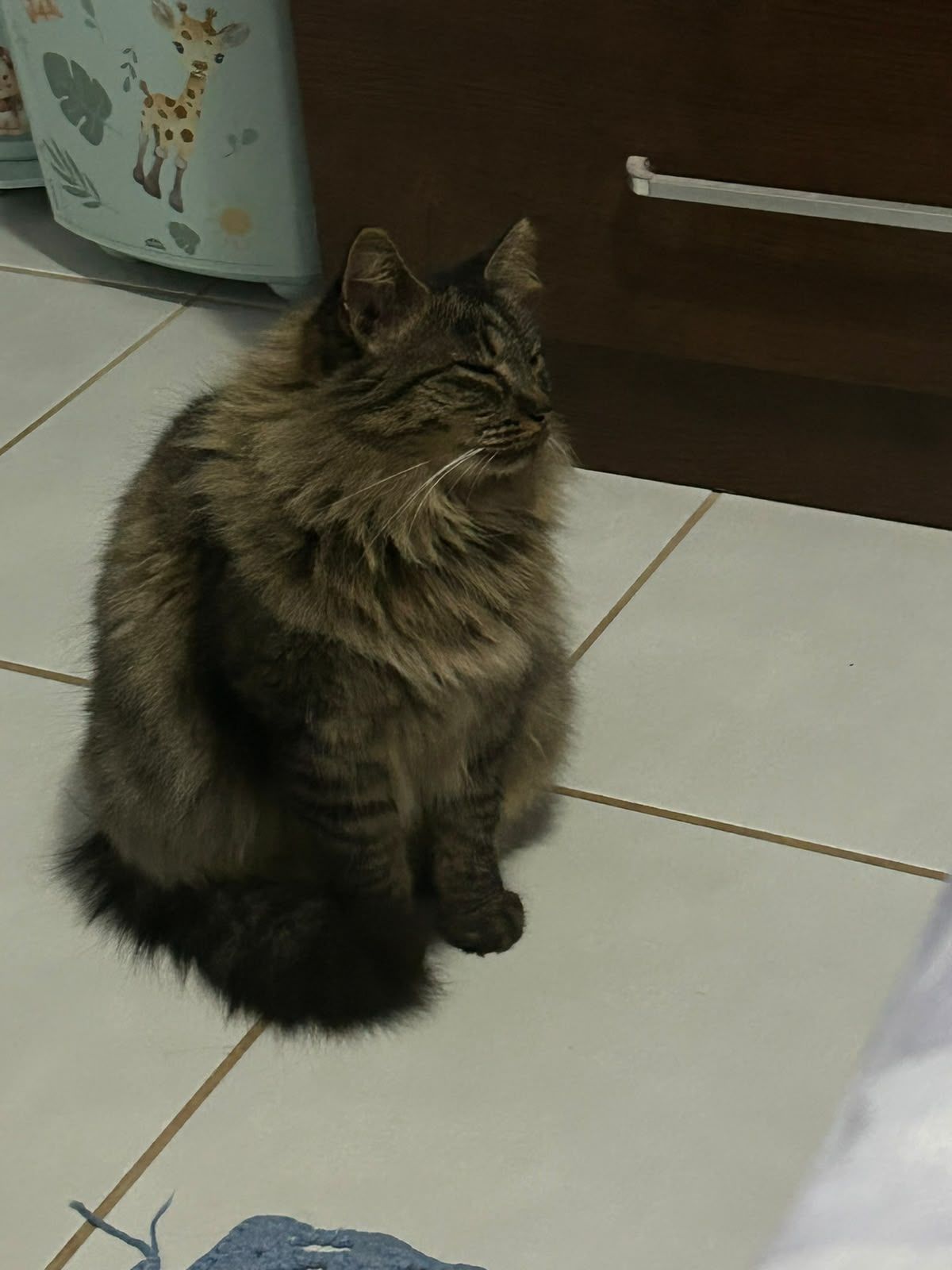 Foto 1 de Princesa