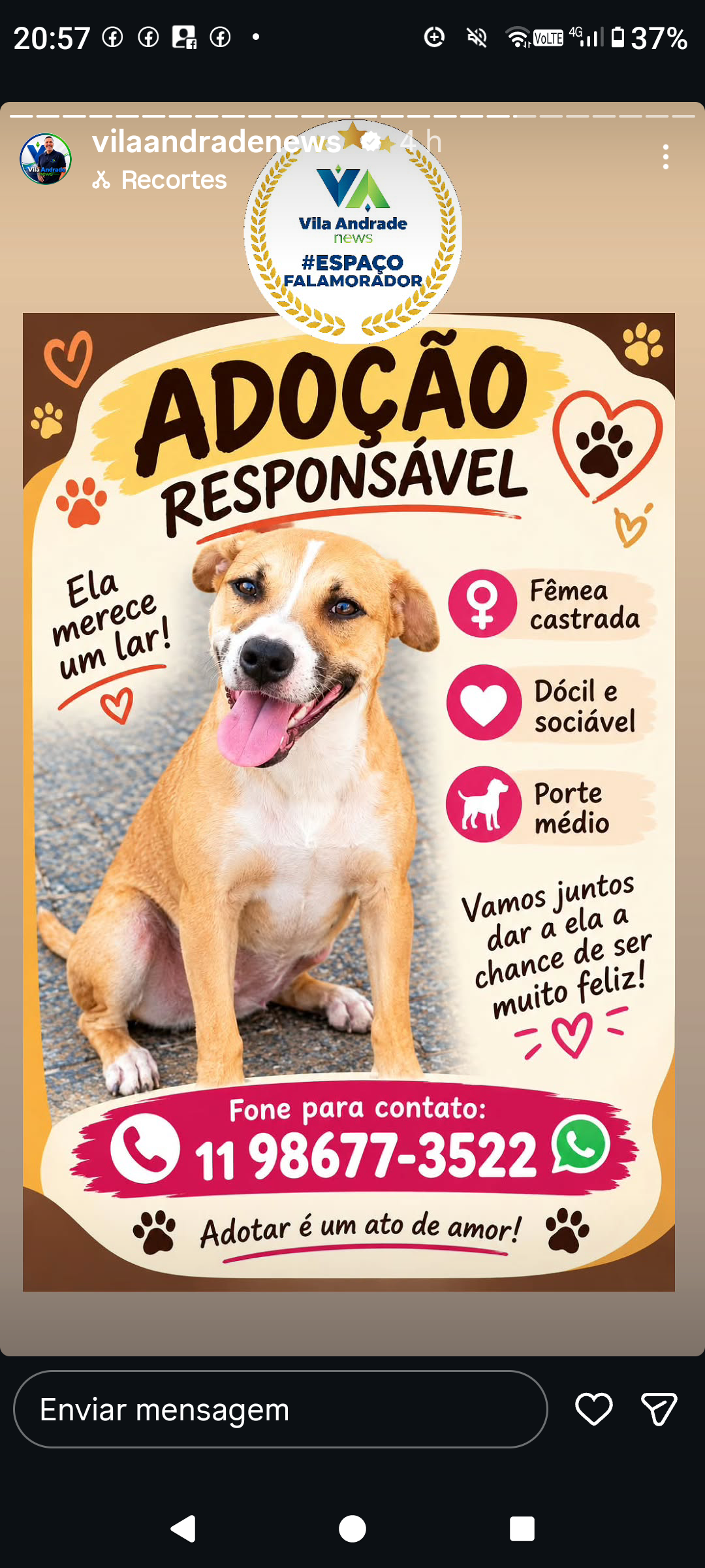 Foto 2 de Adoção