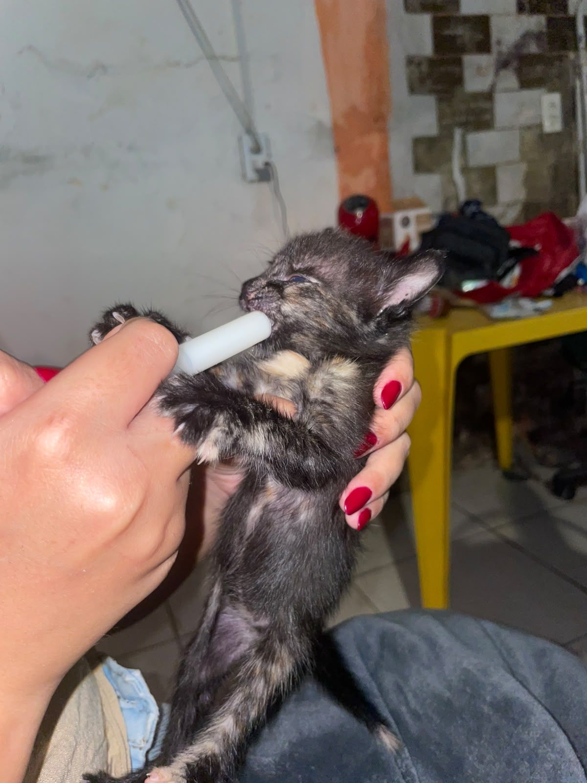 Foto 5 de Meninas superpoderosas