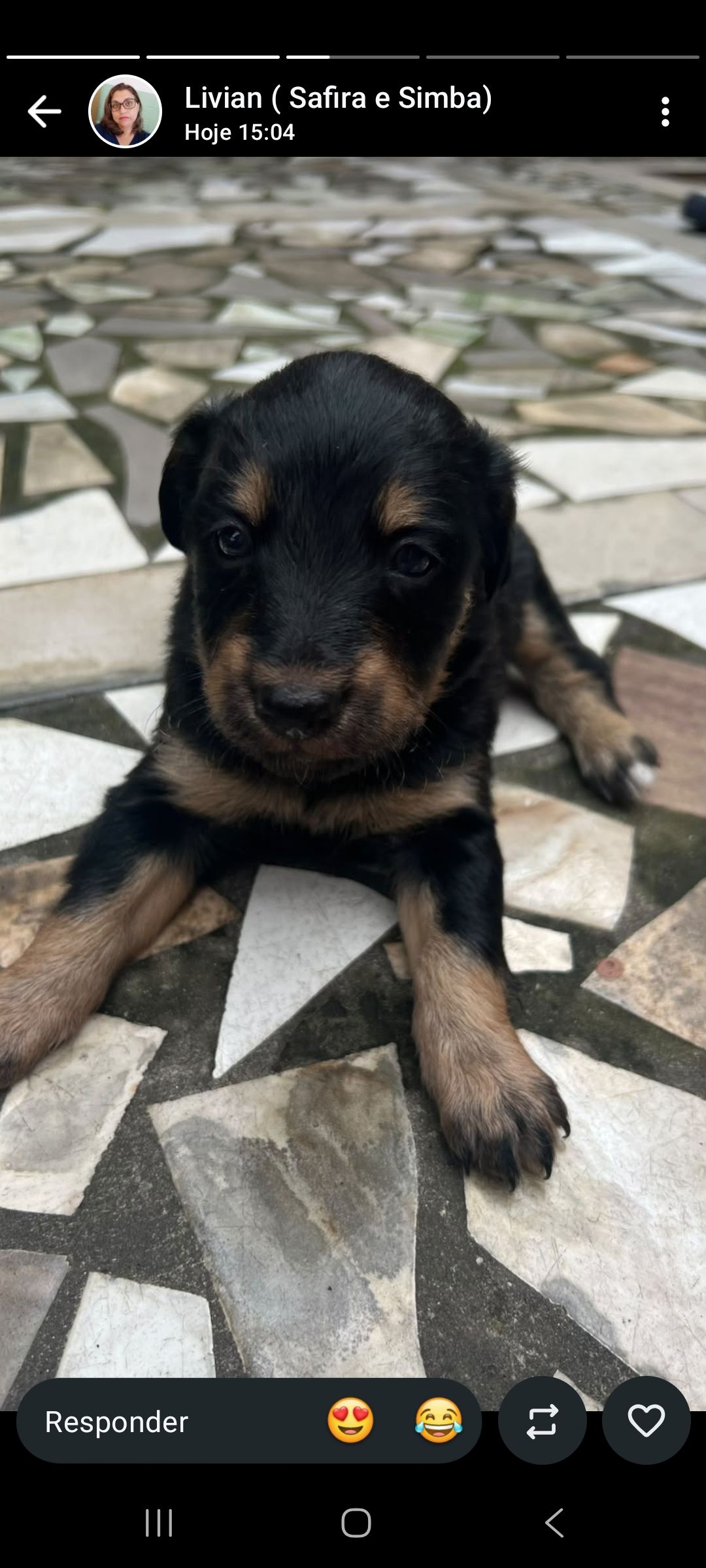 Foto 4 de Bebes