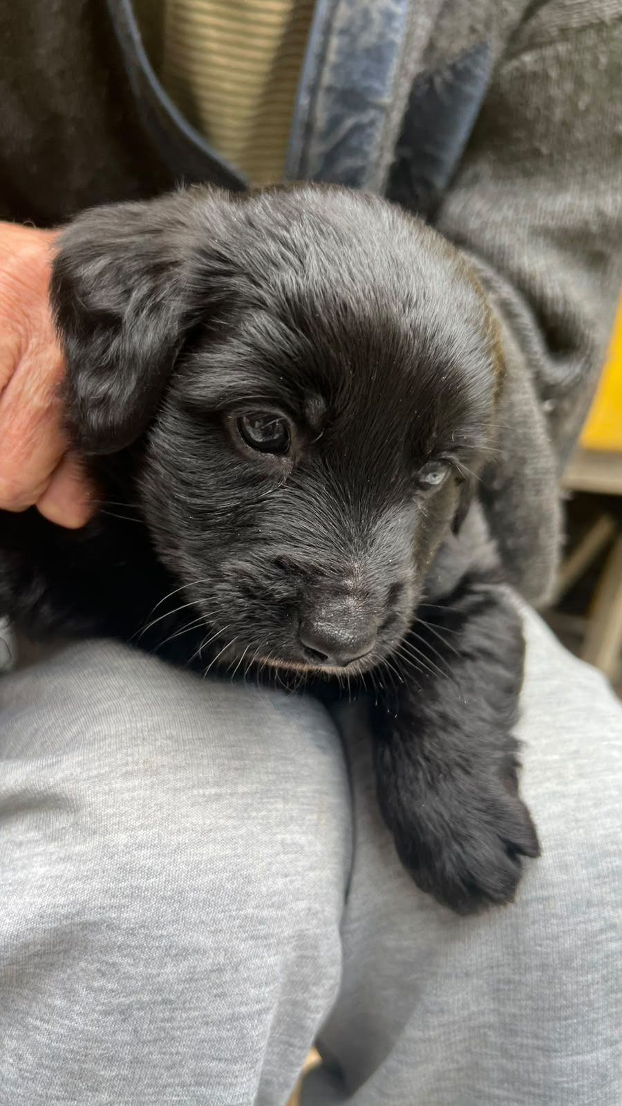 Foto 1 de Bebe
