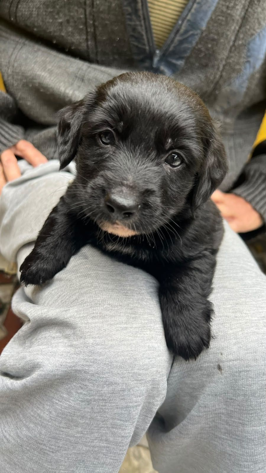 Foto 2 de Bebe