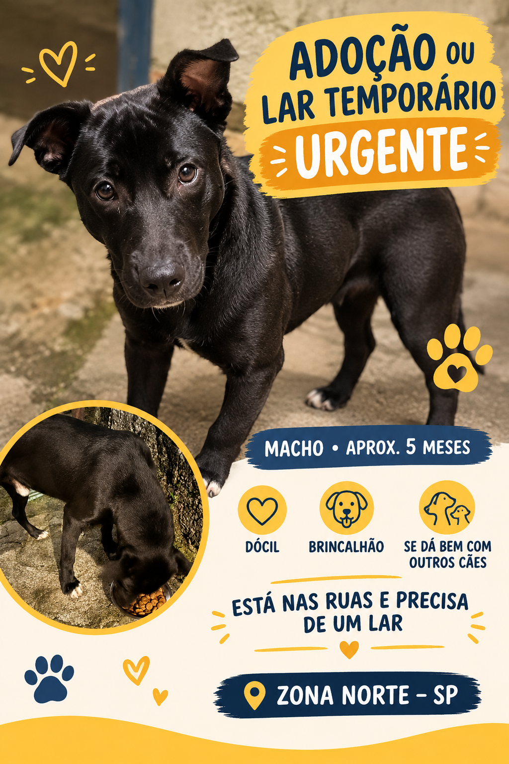 Foto 1 de Bebe