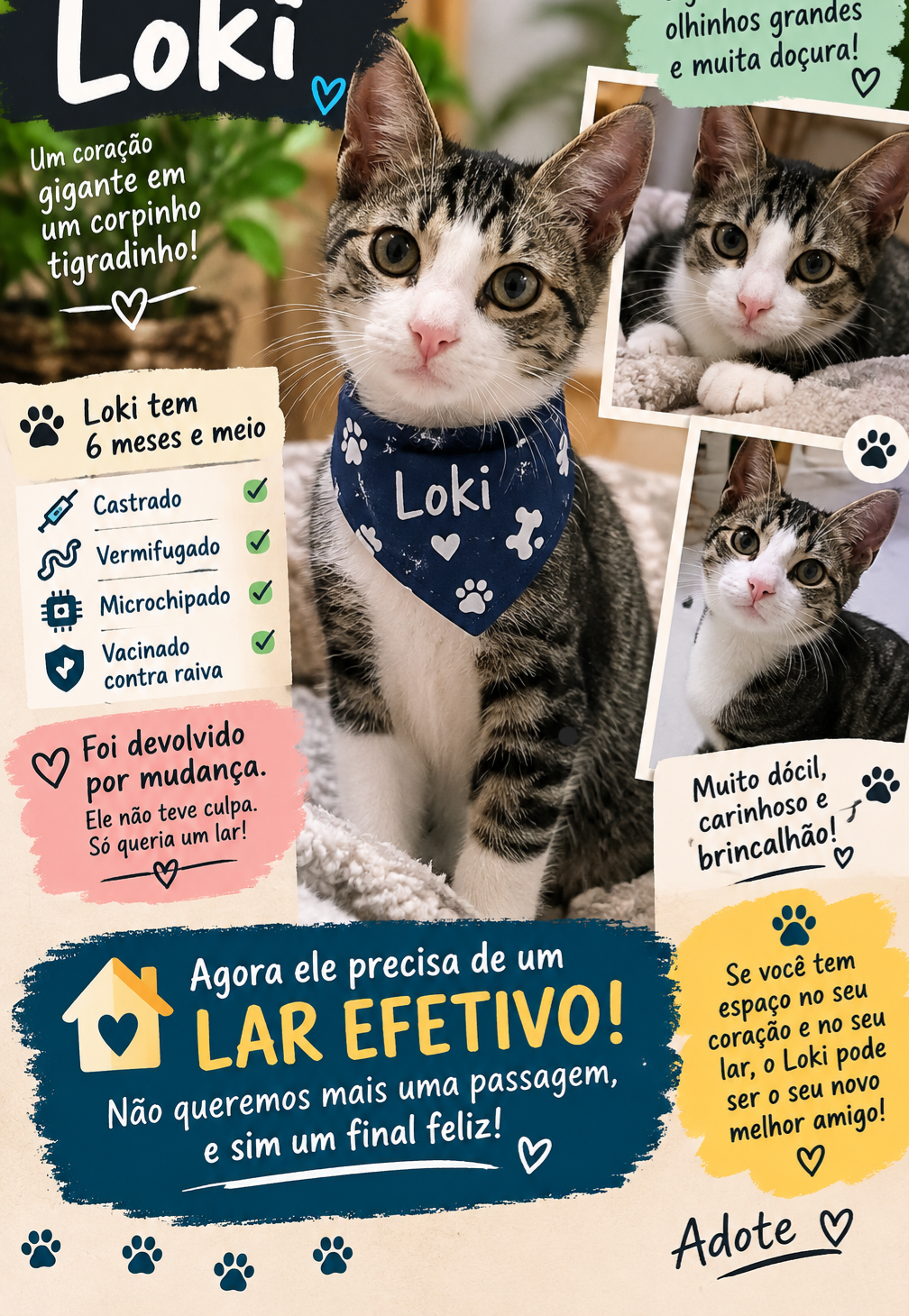 Foto 1 de Lóki