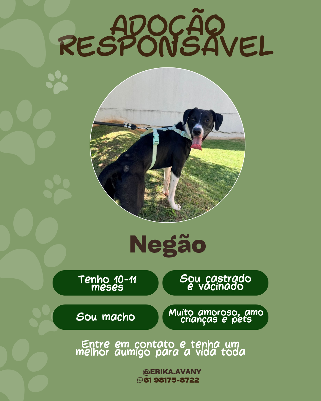 Foto 1 de Negão e Caca