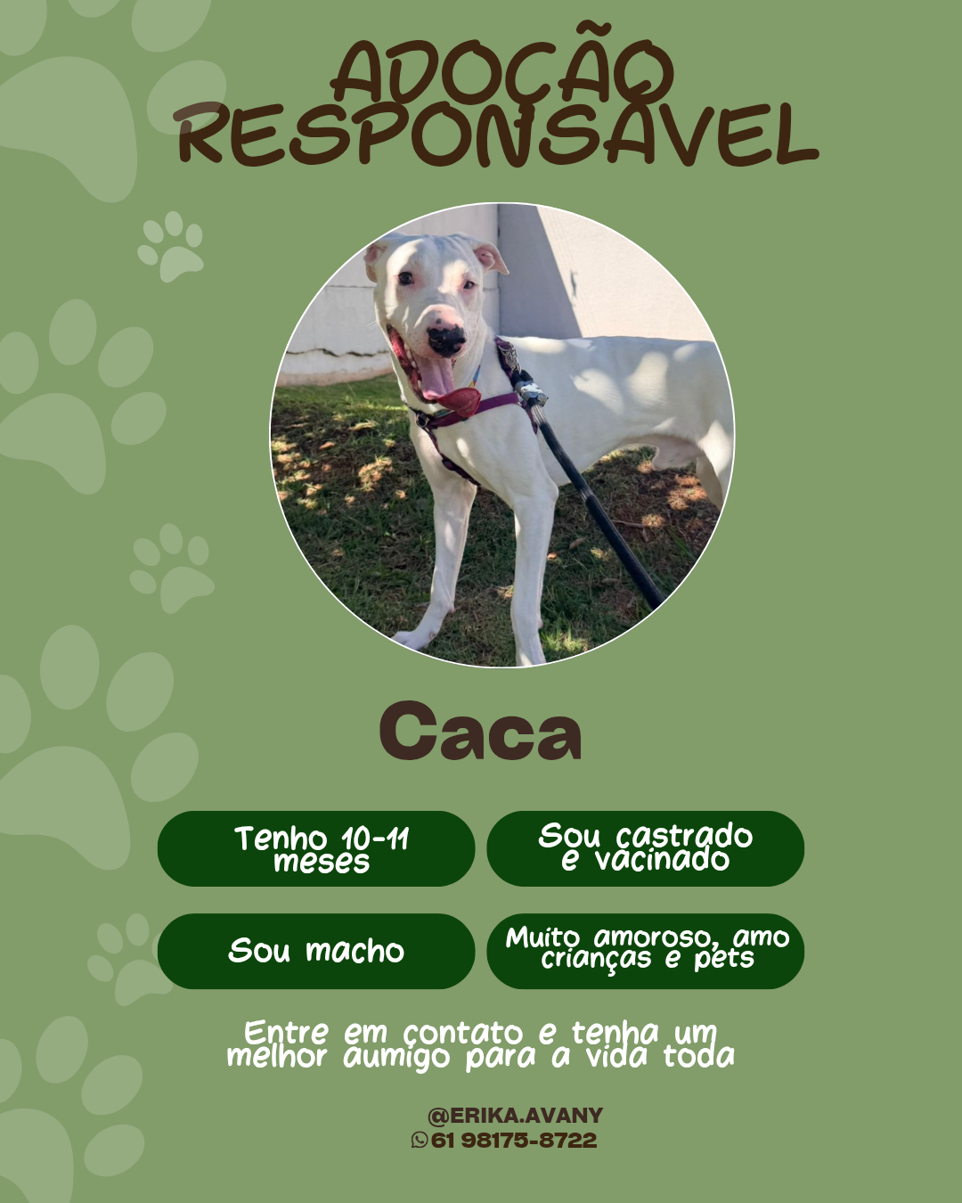 Foto 2 de Negão e Caca