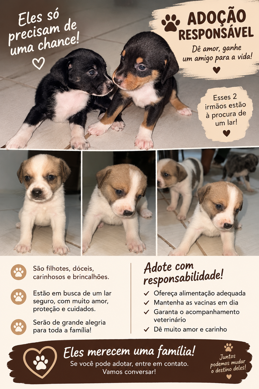 Foto 2 de Não tem