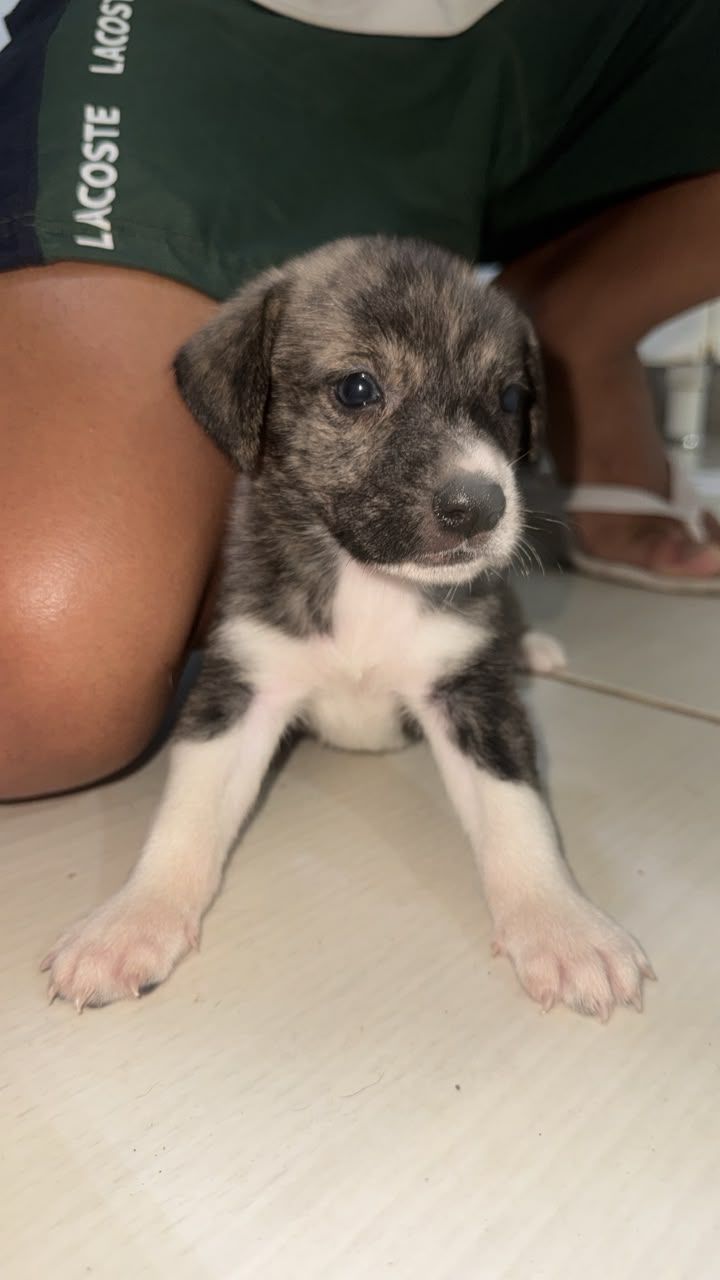 Foto 3 de Não tem
