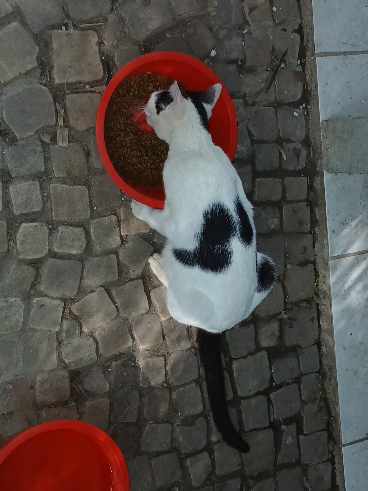 Foto 2 de Nina