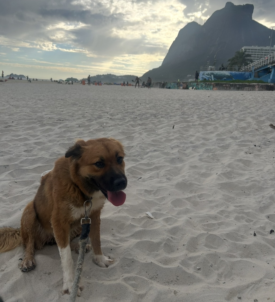 Foto 4 de Penélope