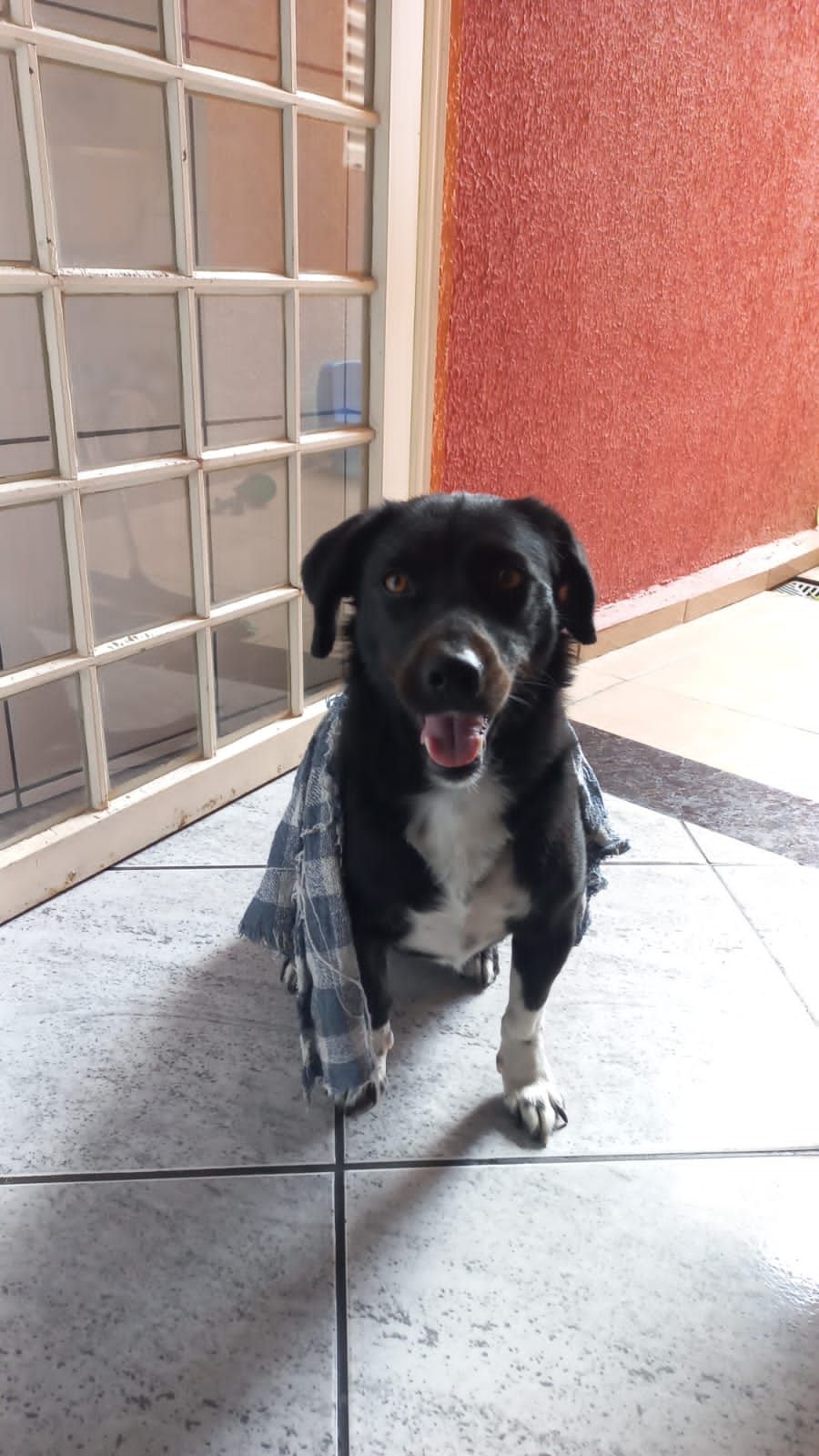 Foto 2 de Neguinha