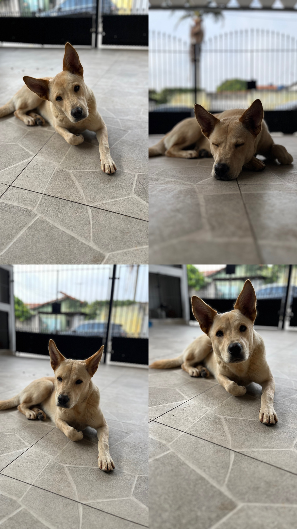 Foto 1 de Menina