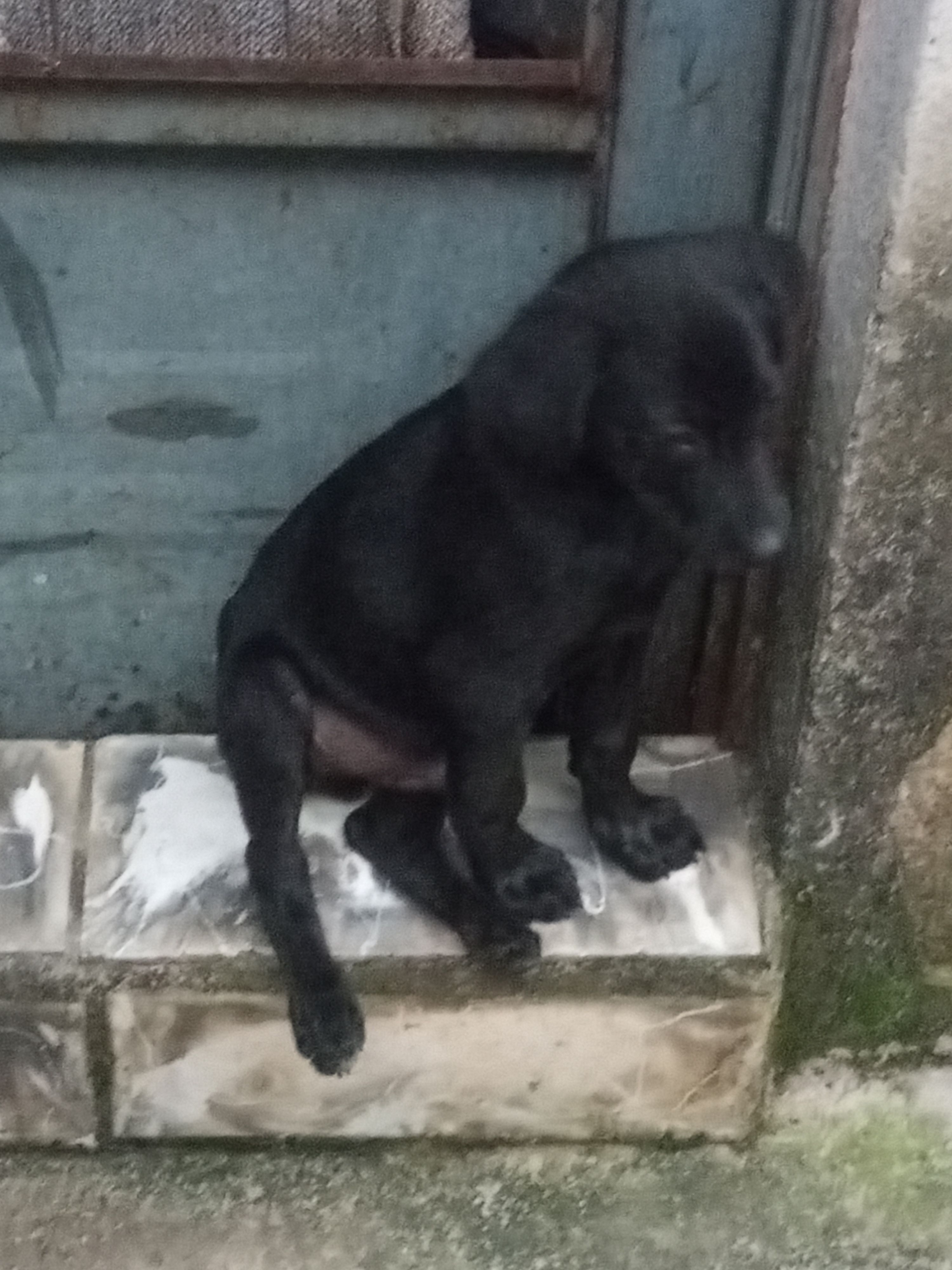 Foto 4 de Sem Nome