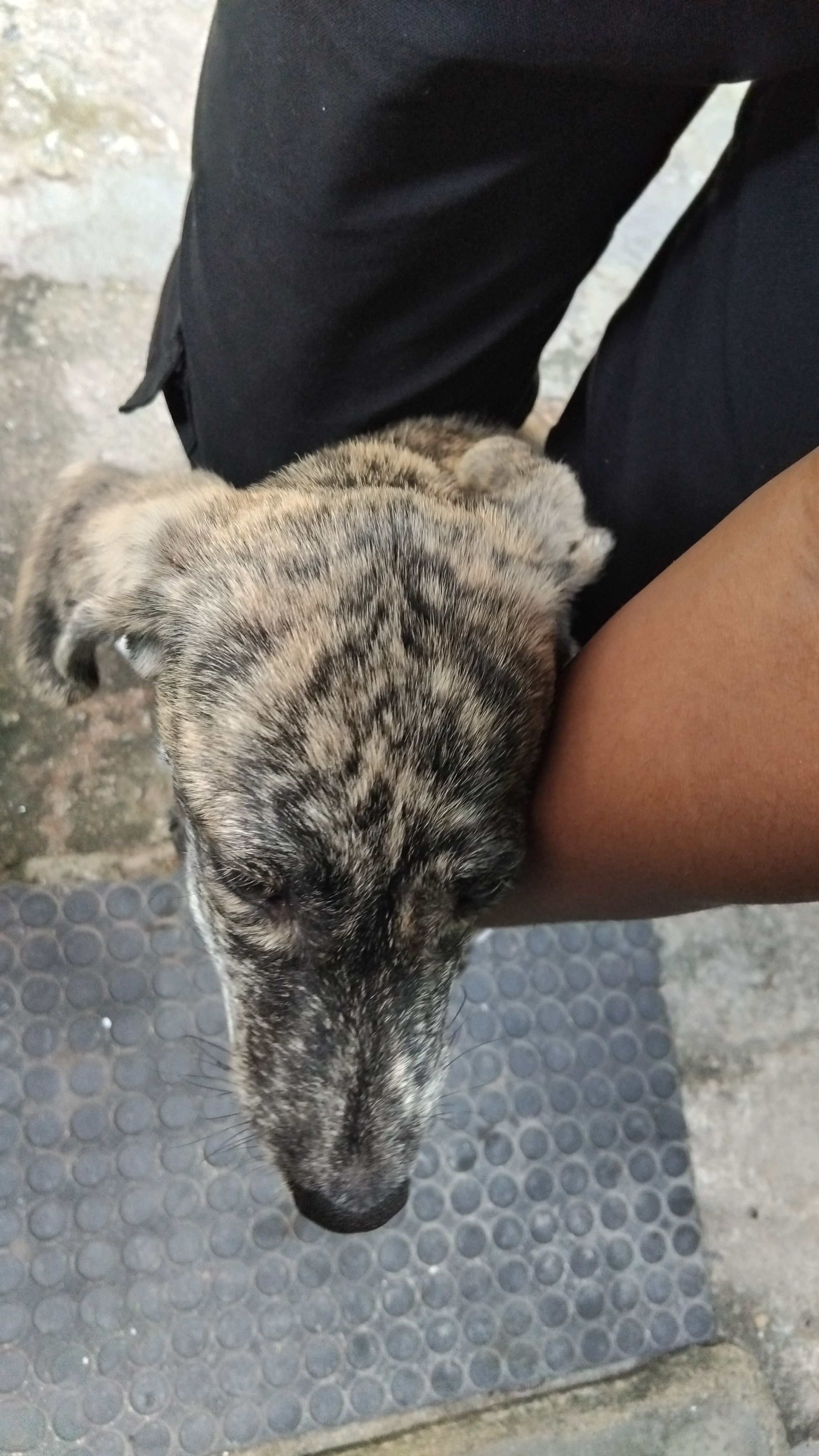 Foto 4 de Pipoca
