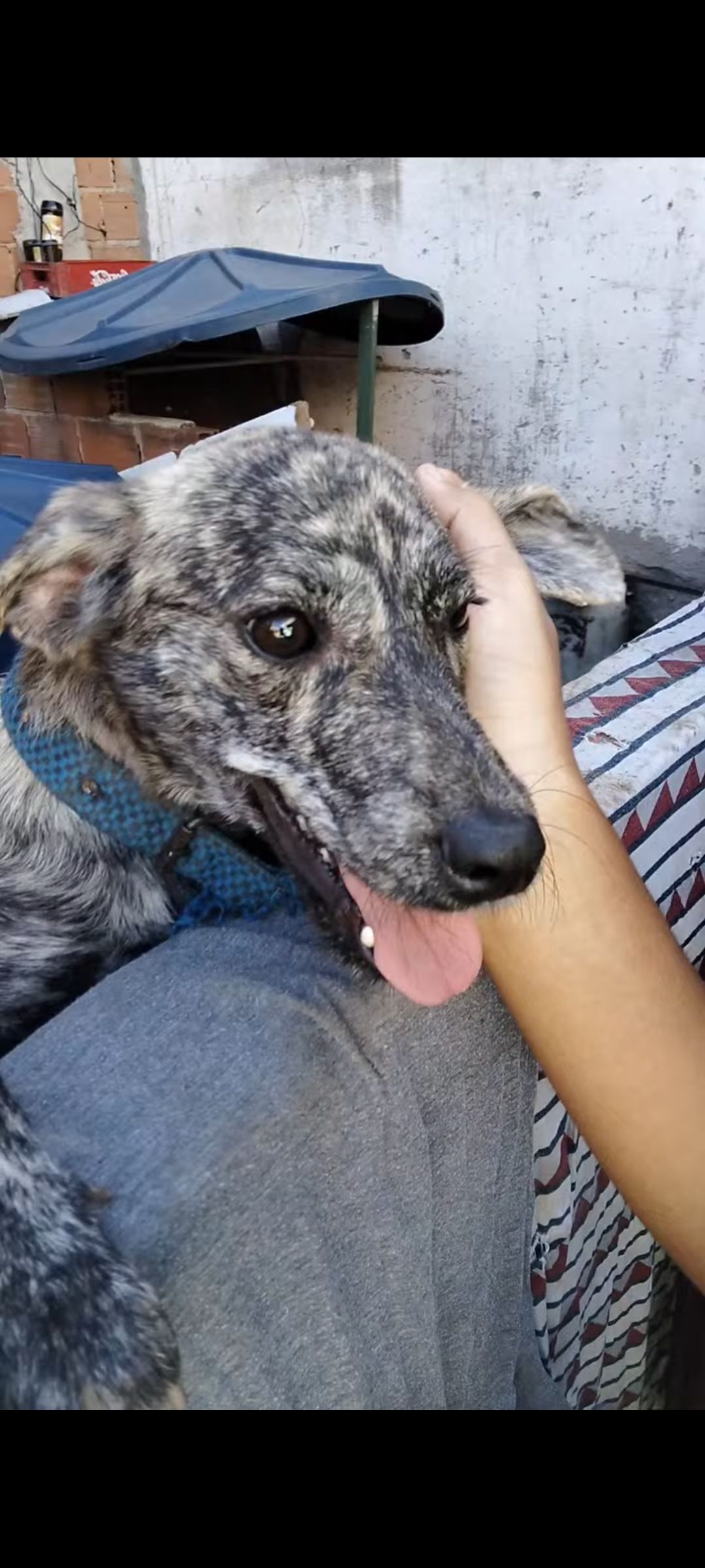 Foto 5 de Pipoca